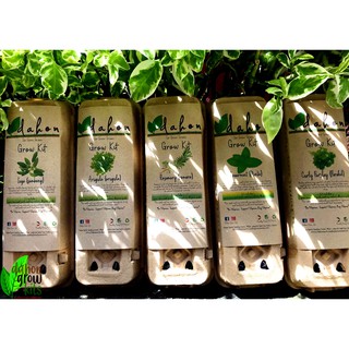 Herb Grow Kits - 12 seed pods
