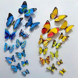 COD/butterfly ref magnet