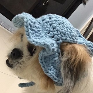 Crochet Doggy Hat Handmade (2)