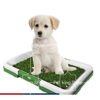Puppy Training Potty Pad Pet Indoor Toilet Dog Toilet TrainingPet Dog Cat Artificial Grass Toilet (3)