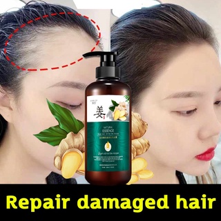 Ginger hair growth Shampoo Anti-drop hair growth liquid repair damaged Hair Refreshing oil control