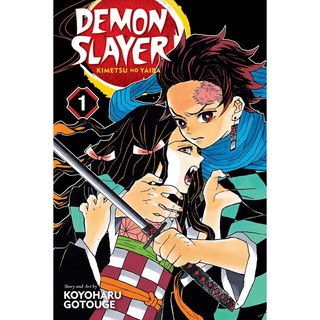 Demon Slayer: Kimetsu no Yaiba, Volume 1 (Paperback)