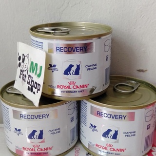 Latest Royal Canin Recovery Wet Food