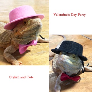LIULIU 2PCS Valentine's Day Bearded Dragon Lizard Hat and Bowtie Reptile Black Hat with Bow Tie Cool