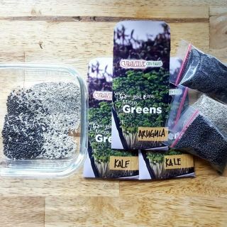 Certified Organic and NON-GMO Microgreen Seeds