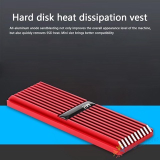 Ss.SSD Heatsink Radiator Cooler M.2 2280 NVME Heat Dissipation Thermal Pads (4)