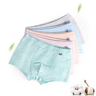 Boys' Cotton Underpant Briefs Boxer Shorts Briefs 3-14 Years (Pack of 2)