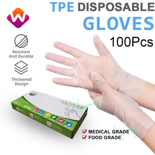 【NEW ARRIVAL】100 Pcs for Household Food Handling Lab Work Disposable Gloves Clear Vinyl Gloves Latex Free Glove TPE Gloves YR