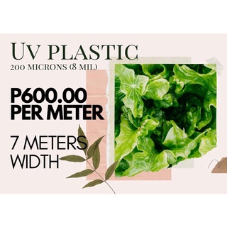 Sunglasses◄☈✚UV PLASTIC FOR GREENHOUSE 3 METERS, 7 METERS WIDTH (150 MICRONS, 200 MICRONS)