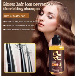 Ginger shampoo nourishing and repairing hair ends, moisturizing scalp shampoo (1)