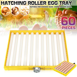 60 Eggs Chicken Turner 360° Automatic Quail Bird Poultry Egg Incubator Tray