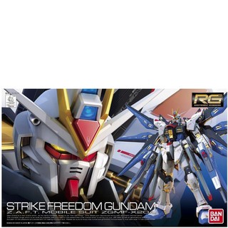 Gundam RG Model Kit: Strike Freedom Gundam (1)