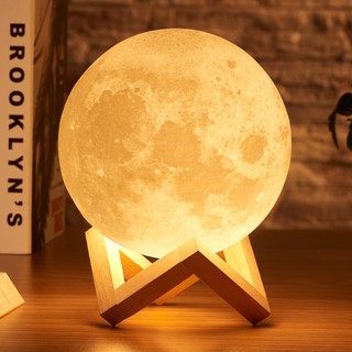 Retailmnl Rechargeable 3D Print Moon Lamp Color Changing Night Light Home Decor