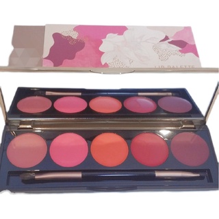 Paint Palettes Counter Price225Imported from New ZealandKMLipstick Palette Natural Temporary Sale Fr