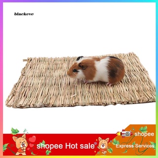 ZXC_Grass Woven Guinea Pig Rabbit Hamster Bed Mat Straw Nest Cage Pet Chew Toy Pad
