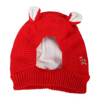 Dog‘s’ Hat Rabbit Ears Plus Velvet Knitted Warm Windproof Hat (7)