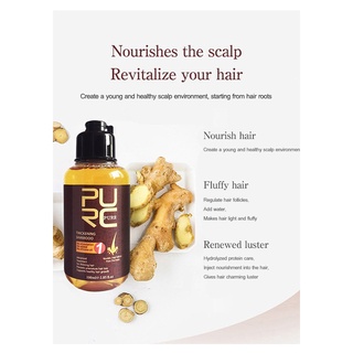 Ginger shampoo nourishing and repairing hair ends, moisturizing scalp shampoo (3)