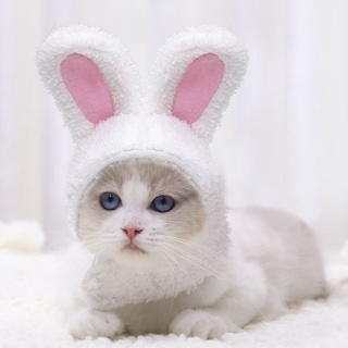 cc Funny Pet Dog Cat Cap Costume Photo Props Headwear Warm Rabbit Hat New Year Party Christmas Cosplay Accessories (4)