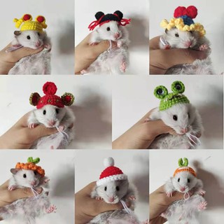 Petown hamster honey bag 鼯 金 松 花枝 Dutch pig dragon cat photo crochet hook woolen pet small hat