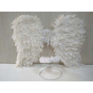 Adult Angel Wings with Halo
