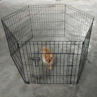 Spies 6 panel playpen or fence for pet and small animals