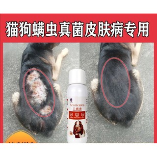 Pet dog skin disease spray fungus mites eczema dermatitis itching treatment cat moss cat ringworm an