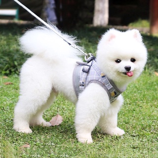 Dog leash Dog Harness with leash dog collar and leash dog leash with harness puppy leash pet harness (4)