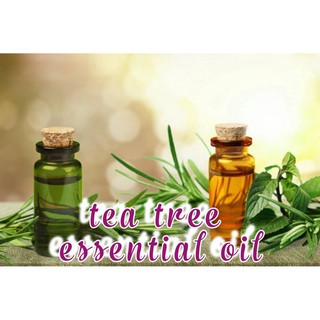 Tea tree essential oil