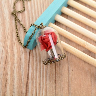 Dried Rose Beauty And The Beast Pendant Bottle Necklace Glass Flower (2)