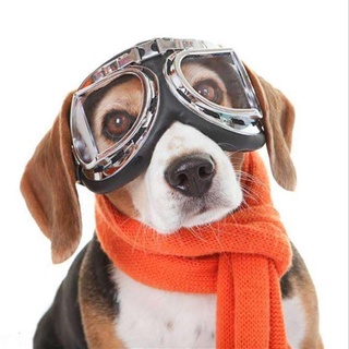 Foldable Pet Dog glasses medium Large Dog pet glasses Pet eyewear waterproof Dog Protection Goggles