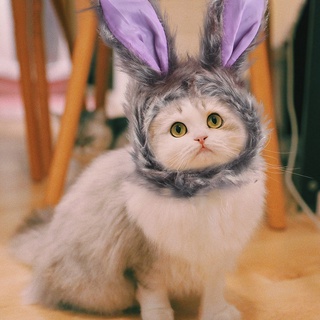 PetBest Funny Pet Dog Cat Hat Rabbit Hat Cute Pet Teddy Christmas Props Cosplay Accessories Cat Supplies Photo Props (2)