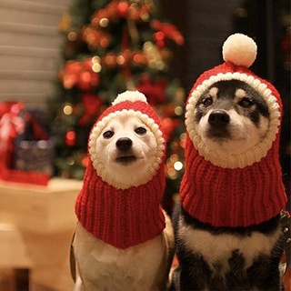Pet hat Dog Christmas knit headgear cat