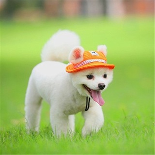 【Pety Pet】Dog pet headdress cute cat headdress wig cat headdress hat dog hat (4)