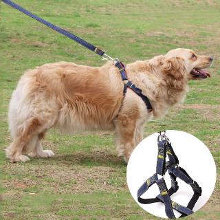 Dog Collar Pet Leash Dogs Harness Teddy Small Medium Large Adjustable Pet Leash Dog Harness
