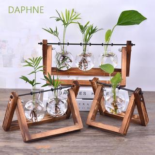 DAPHNE Terrarium Tabletop Planter Hydroponic Plant Vases