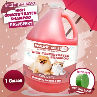 ☊✳Prolific Tails 1 Gallon (3.78L) Madre De Cacao Shampoo (Raspberry Scent) with Guava Extract, Anti