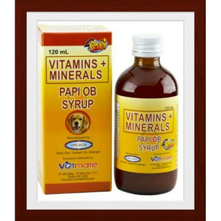 PAPI OB Syrup Vitamis + Minerals 120mL