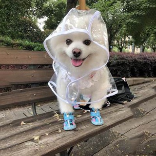 メ≓Dog raincoat Teddy Chai Dog Small Dog Medium Dog Poncho Puppies All-inclusive Bears Waterproof Pet