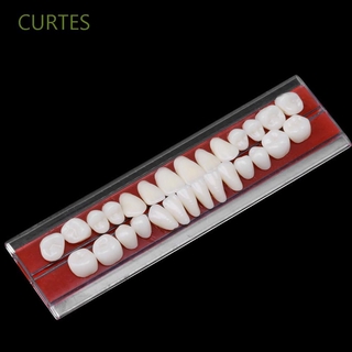CURTES Durable Dental Materials 1 Set Dentures 24 # Resin Teeth Teeth Model 24pcs/set High Quality Dentures Colors Tooth Shade Guide/Multicolor