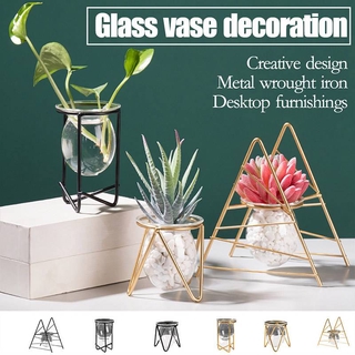 Planter Terrarium Table Desktop Hydroponic Vase Transparent Test Tube Hanging Bottle Home Decor