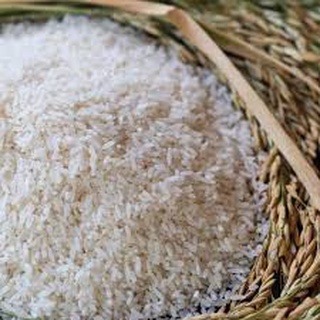 RICE 1 KILO FOR ONLY 49 PESOS