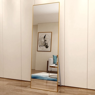Full-Body Mirror Floor Mirror Household Female Nordic Simple Net RedinsWind Girl Bedroom Girl Fitting Mirror (1)