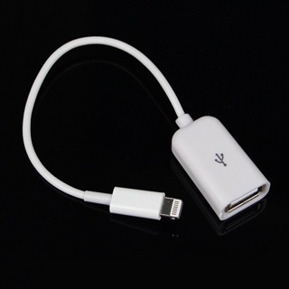 IOS OTG adaptor for iPad iPhone supported 10.2 below
