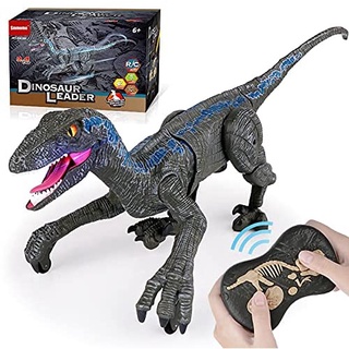 Remote Control Dinosaur for Kids Boys Girls, RC ToysWalking velociraptor with Lights and Sounds Rech