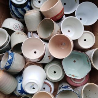 Japanese Ceramic Pots With Holes