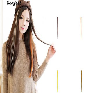 Multicolor Long Straight Synthetic Clip Hair Extension Piece (3)