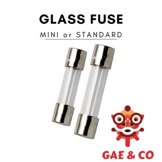 Fuse Mini Glass (sold per piece)