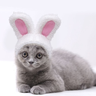 cc Funny Pet Dog Cat Cap Costume Photo Props Headwear Warm Rabbit Hat New Year Party Christmas Cosplay Accessories (8)