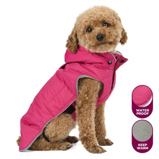 ❁Autumn and winter classic solid color small medium-sized dogs plus velvet thick hat detachable wat1 (4)