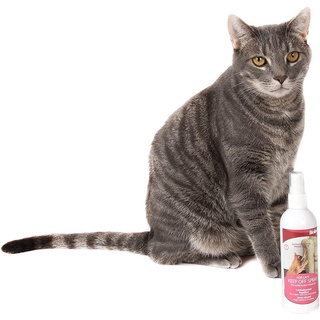 New products✗Bioline Cat Keep Off Spray for Cats 175ml